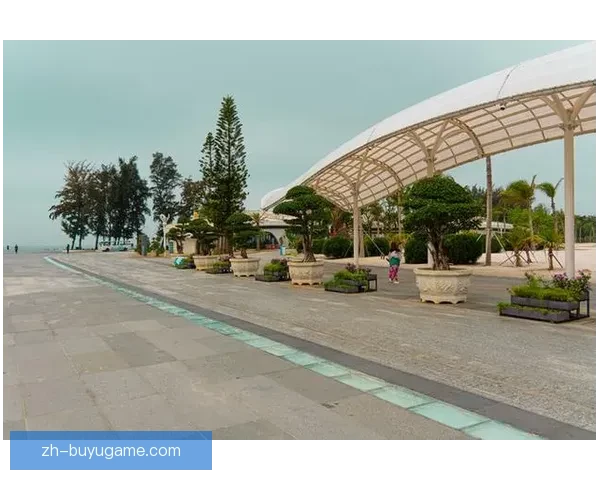 奥林匹克湾至西斯普林斯地区最新发展与生活全景解析